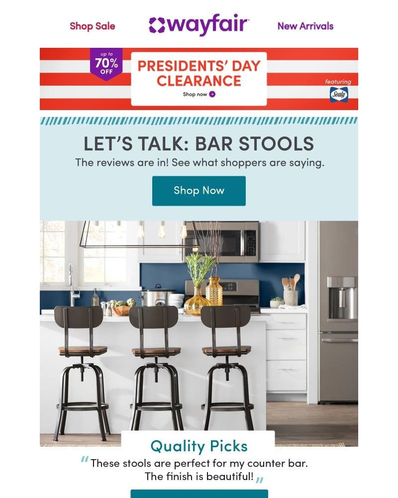 Screenshot of email sent to a Wayfair Newsletter subscriber