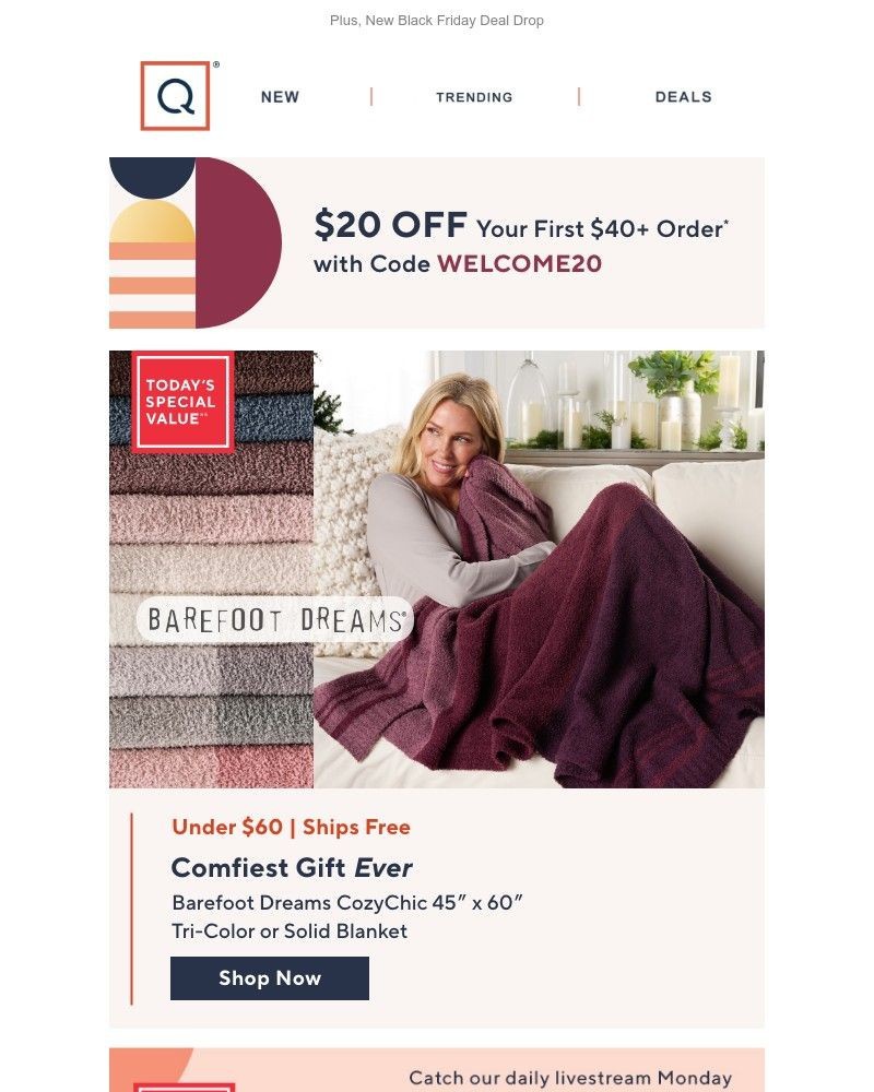 Screenshot of email with subject /media/emails/barefoot-dreams-tsv-get-20-off-ded2c3-cropped-06ecb5a8.jpg