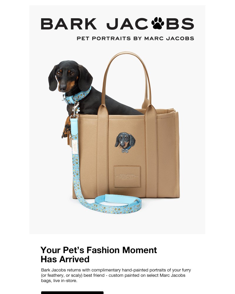Screenshot of email with subject /media/emails/bark-jacobs-back-by-popular-demand-bb41dd-cropped-f8c74625.jpg