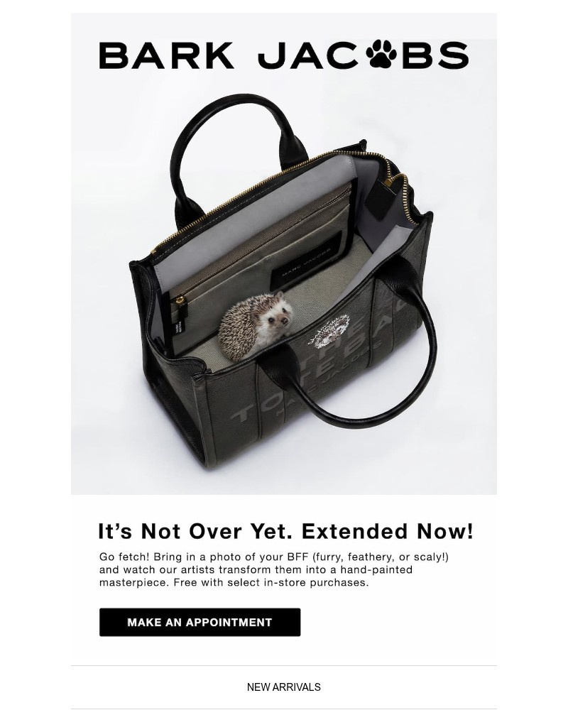 Screenshot of email sent to a Marc Jacobs Newsletter subscriber