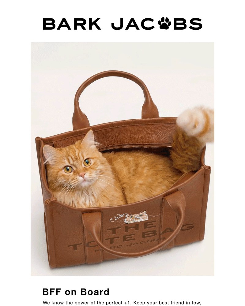 Screenshot of email with subject /media/emails/bark-jacobs-makes-your-pet-the-star-of-the-tote-e19ea7-cropped-442f7f70.jpg