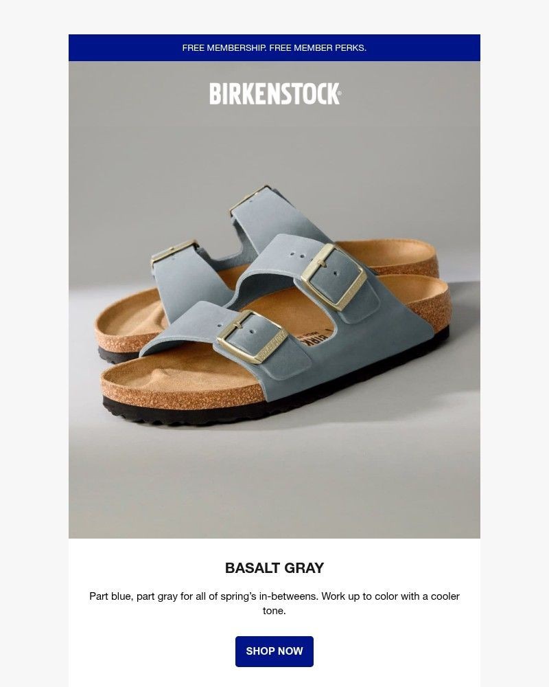 Screenshot of email with subject /media/emails/basalt-gray-sandals-shoes-ease-back-into-color-9d4c06-cropped-2d3ecab3.jpg