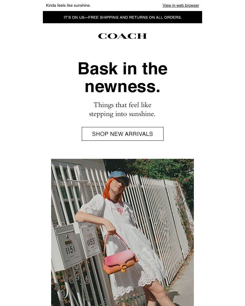 Screenshot of email with subject /media/emails/bask-in-all-this-newness-b6c4e2-cropped-f354bf87.jpg