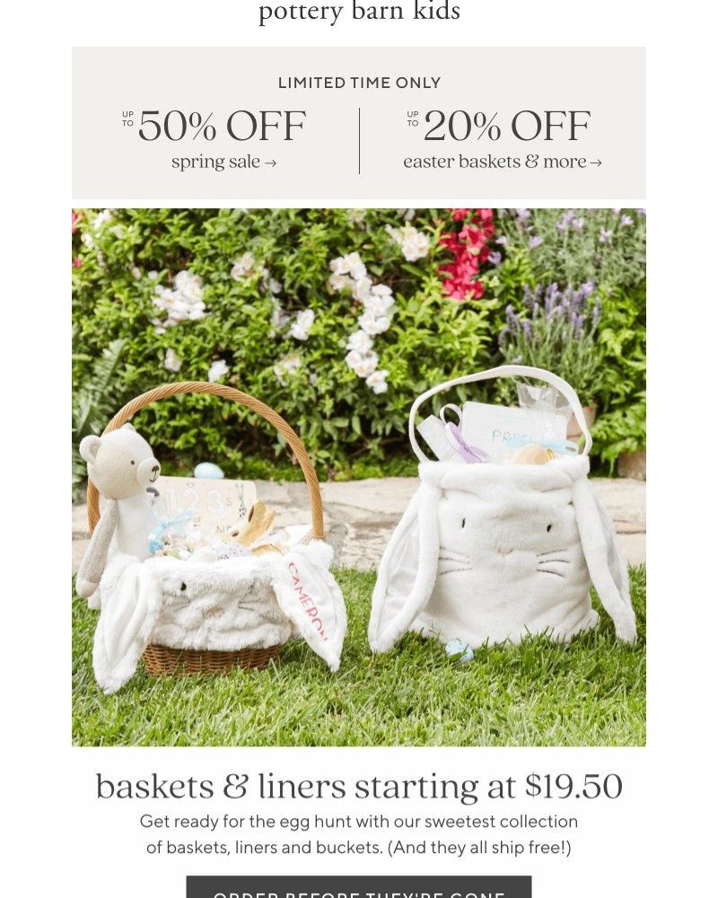Screenshot of email with subject /media/emails/baskets-starting-at-1950-up-to-20-off-efc91d-cropped-145c4fce.jpg