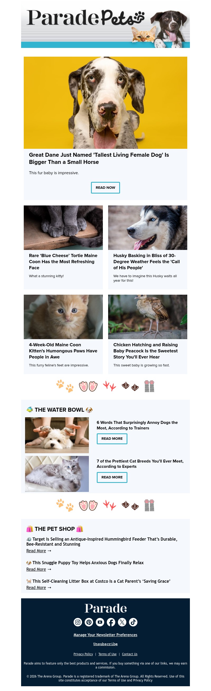 Screenshot of email with subject /media/emails/bb11fc88-9e85-44a0-b46d-cfc2dba85b78.jpg