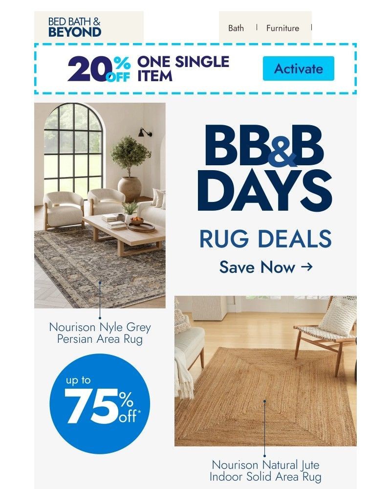 Screenshot of email with subject /media/emails/bbb-days-rugs-up-to-75-off-4ebfeb-cropped-d13c80e0.jpg