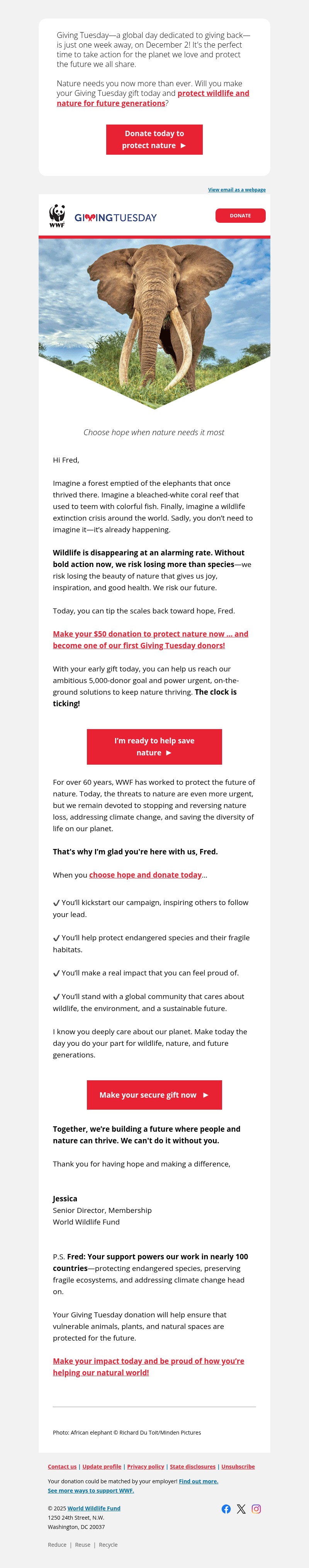 Screenshot of email with subject /media/emails/bbc1da9e-dc56-4425-9f04-179a7af71fdb.jpg