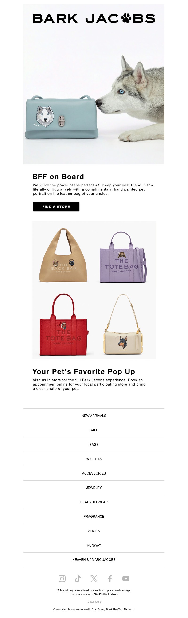 Screenshot of email with subject /media/emails/bcc88cb5-f882-43b2-bbe8-cadef63aff4c.jpg