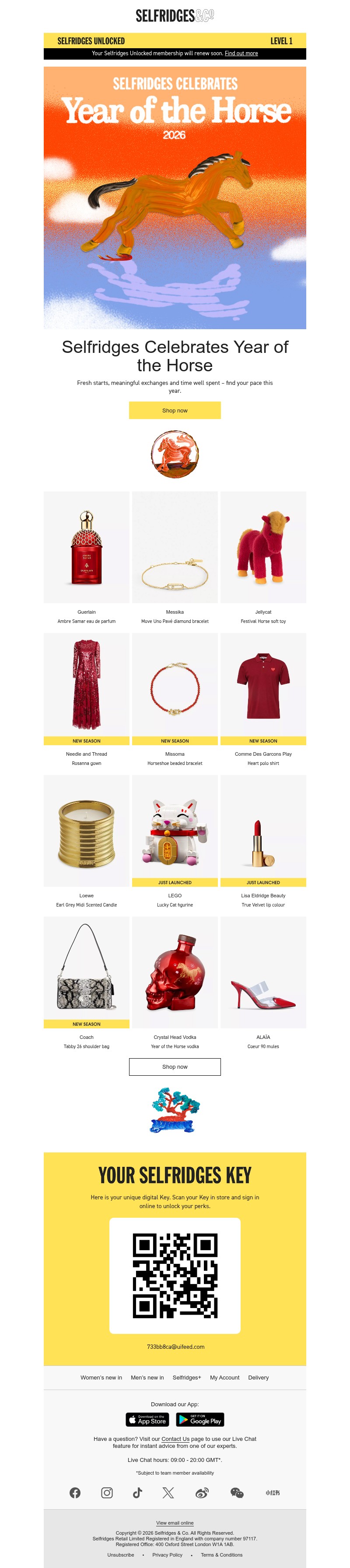 Screenshot of email with subject /media/emails/bcf5c7fb-ed99-4ae8-98be-e95638284b59.jpg