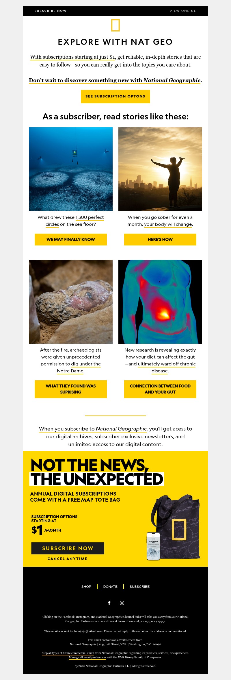 Screenshot of email with subject /media/emails/bd1ff682-3fc6-4519-8849-ff82c06d7508.jpg