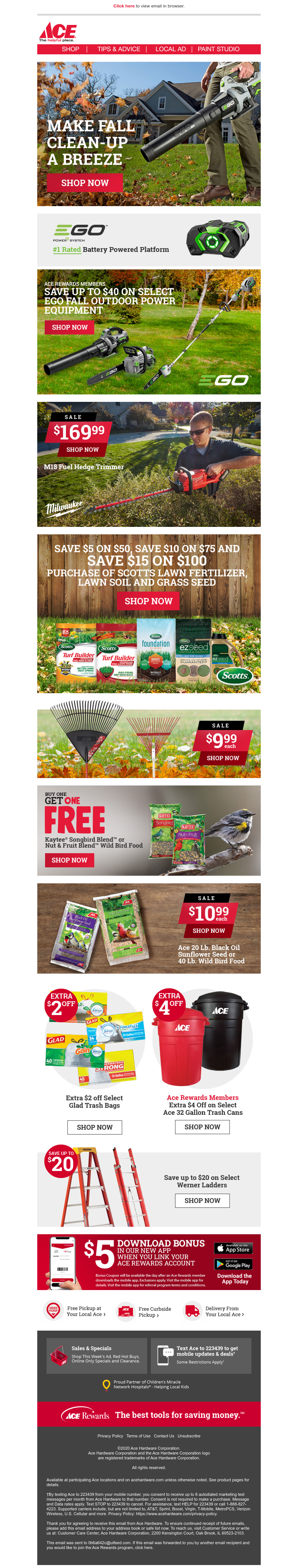 Screenshot of email with subject /media/emails/bd67a7cf-f5f3-4120-b32f-8f5a62d8025c.png