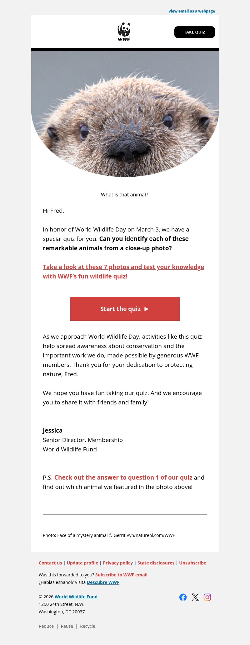 Screenshot of email with subject /media/emails/bdeea170-e77d-45d2-96a1-e653d10c2eb8.jpg