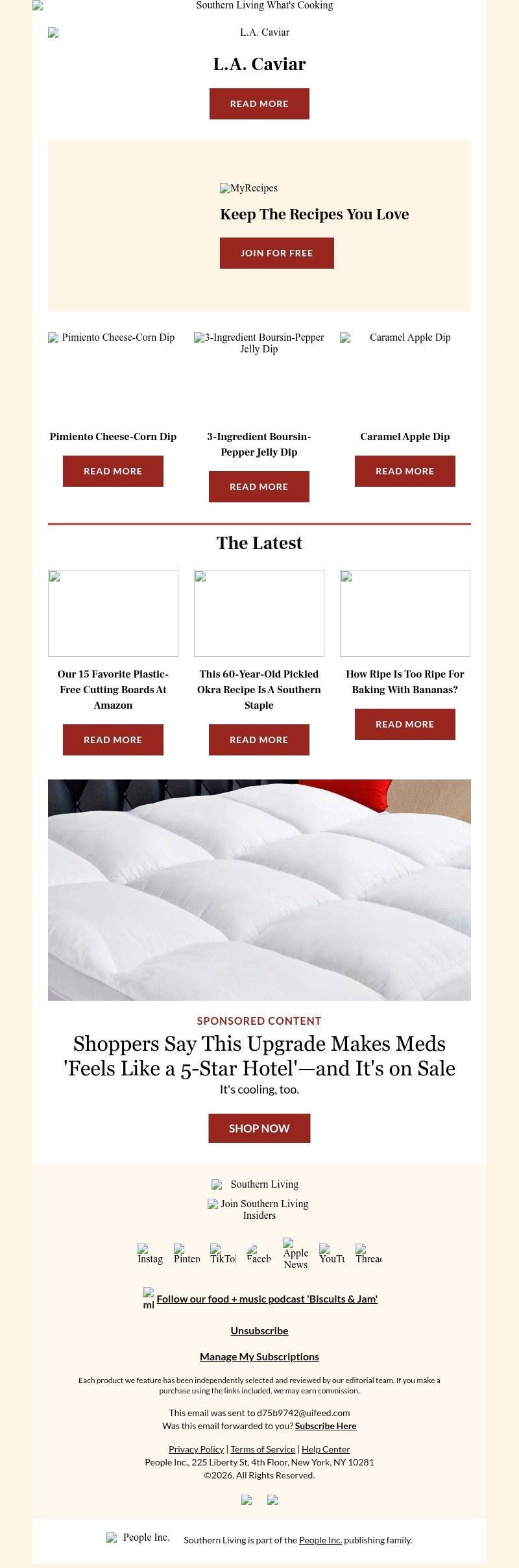 Screenshot of email with subject /media/emails/bdfee753-a28f-45a6-b802-4494277f1259.jpg