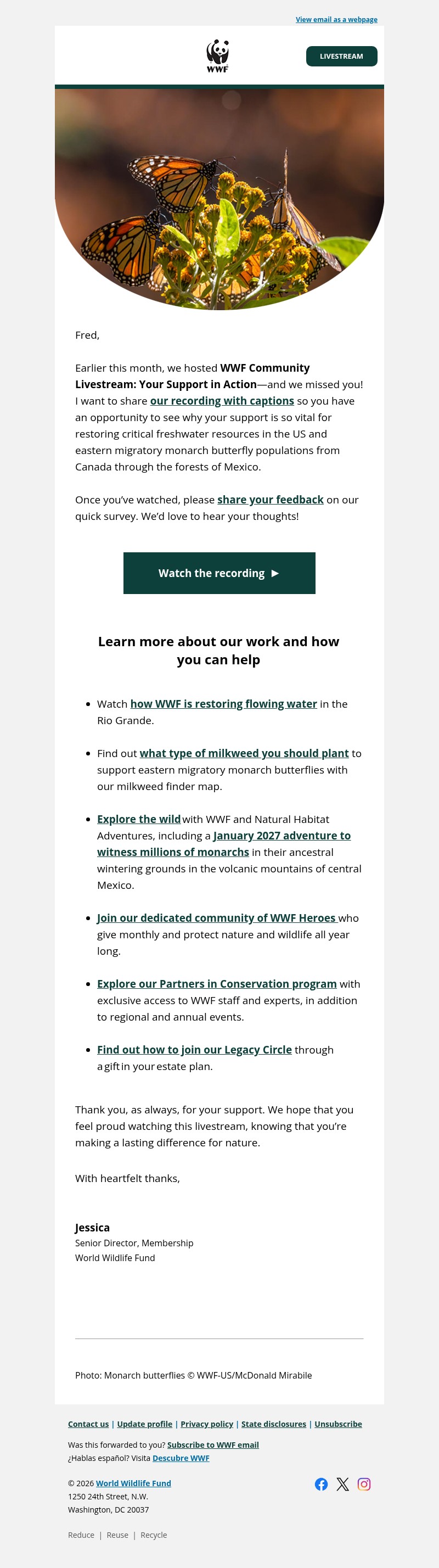 Screenshot of email with subject /media/emails/be452981-c8ac-46fb-adf9-c3c916dcf345.jpg
