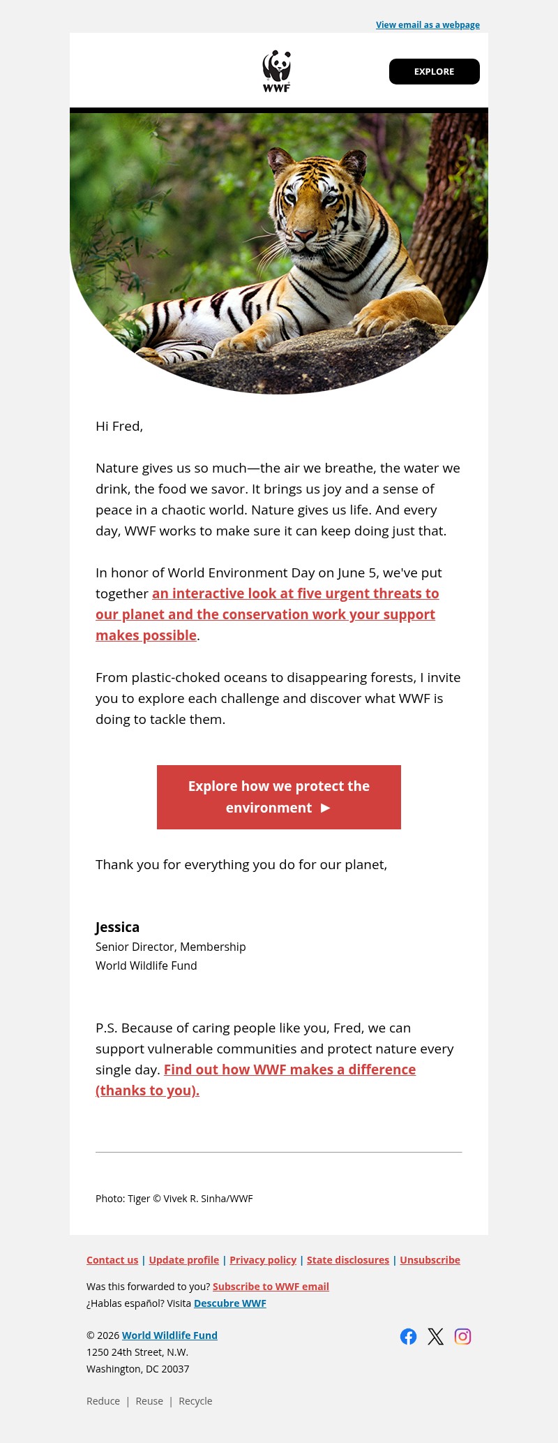 Screenshot of email with subject /media/emails/be843cc7-16bd-43c3-a8d7-6abc586bc41a.jpg