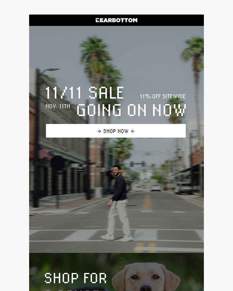 Screenshot of email with subject /media/emails/beat-the-black-friday-crowd-0b3d04-cropped-1016b472.jpg