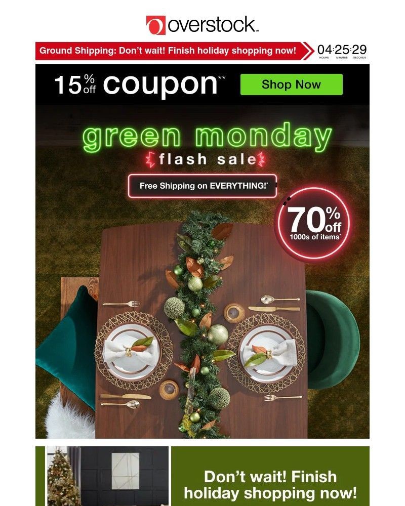 Screenshot of email with subject /media/emails/beat-the-clock-15-off-coupon-these-deals-will-be-gone-in-a-flash-7364e7-cropped-8436e913.jpg