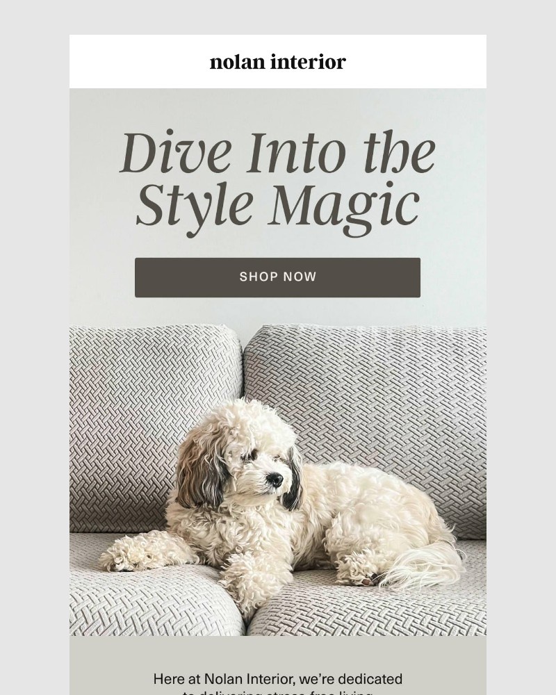 Screenshot of email sent to a Nolan Interior Newsletter subscriber