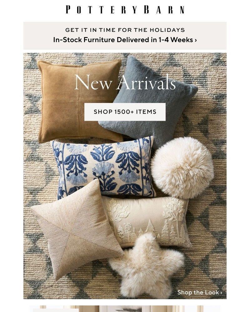 Screenshot of email with subject /media/emails/beautiful-new-arrivals-for-every-room-248f95-cropped-27409fa6.jpg
