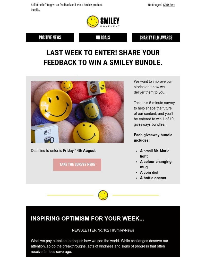 Screenshot of email sent to a Smiley Movement Newsletter subscriber