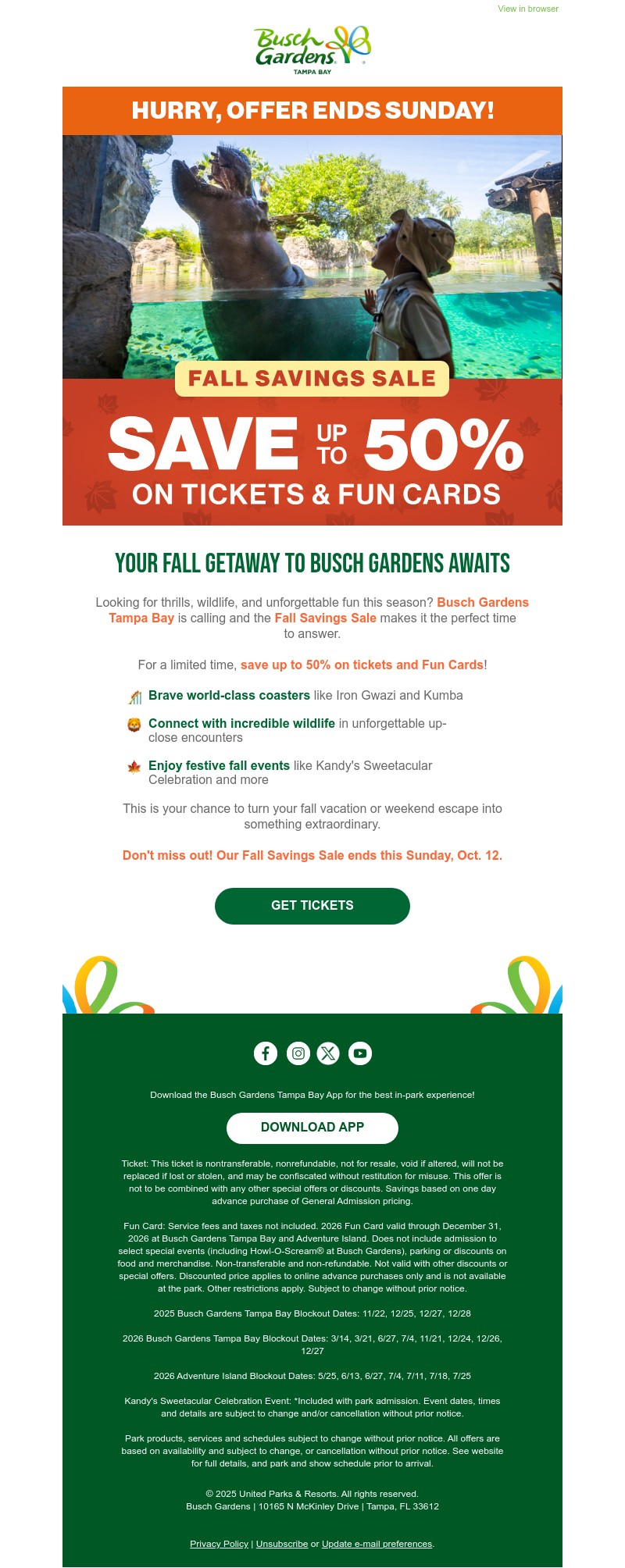 Screenshot of email with subject /media/emails/bec21f6a-58ee-4362-aa66-91c5e4171440.jpg