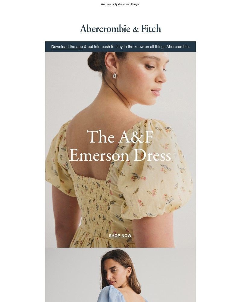 Screenshot of email with subject /media/emails/because-emersons-iconic-62b9cd-cropped-3c390661.jpg