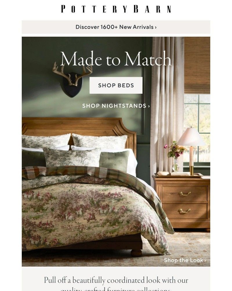 Screenshot of email sent to a Pottery Barn Cart abandoner