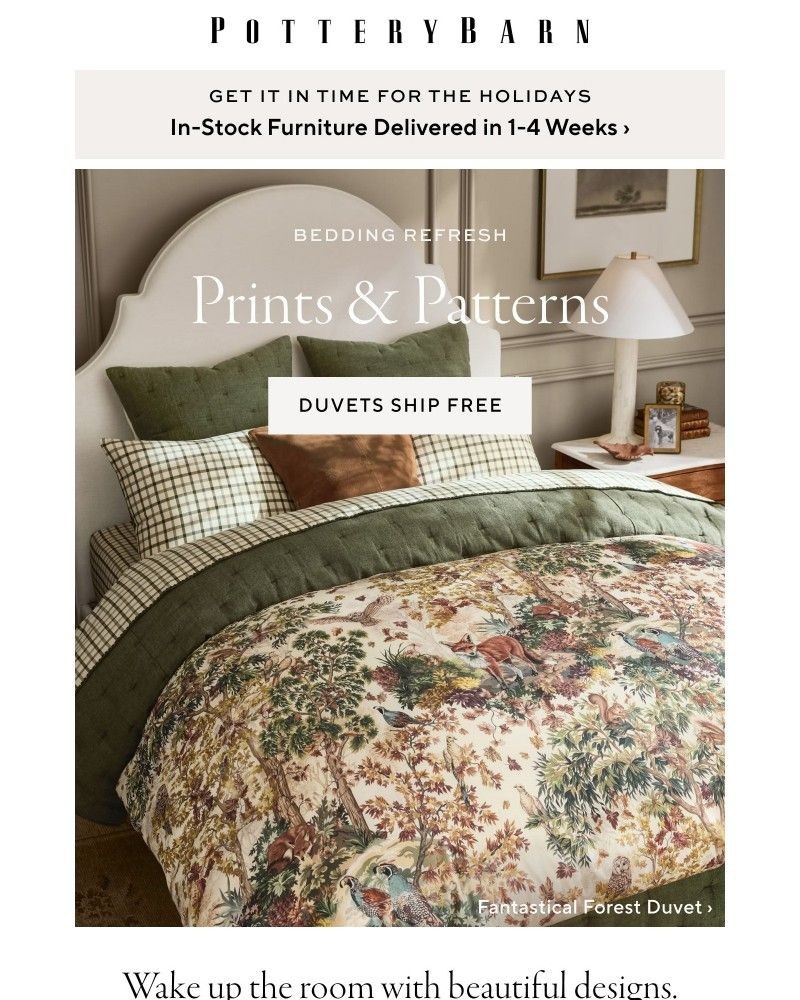 Screenshot of email with subject /media/emails/bedding-in-irresistible-patterns-325cba-cropped-4d742bb6.jpg