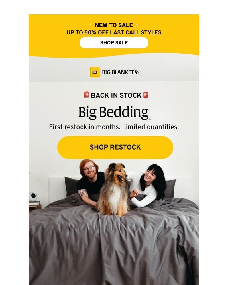 Screenshot of email with subject /media/emails/bedding-is-back-0f7e67-cropped-399ca4ef.jpg