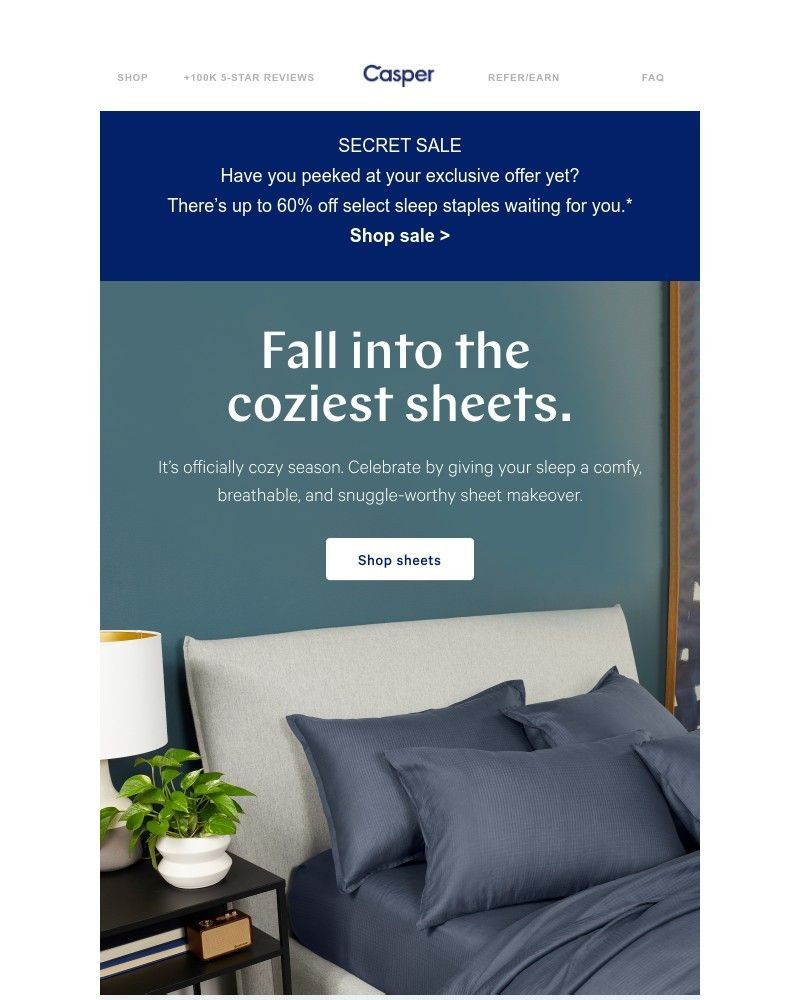 Screenshot of email with subject /media/emails/bedding-made-for-cooler-comfier-sleep-26fa6c-cropped-32c4bc85.jpg