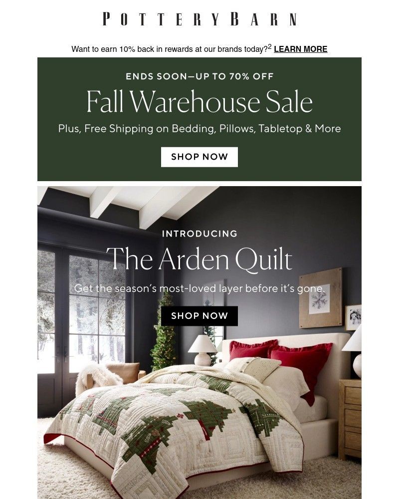 Screenshot of email with subject /media/emails/bedding-we-love-deals-youll-love-too-f45a99-cropped-d1103792.jpg