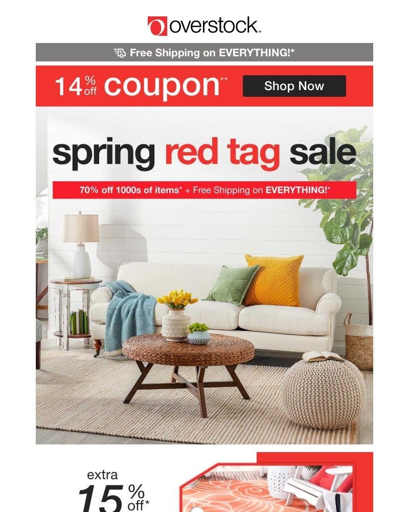 Screenshot of email with subject /media/emails/bee-ready-14-off-coupon-is-sweeter-than-honey-shop-the-red-tag-sale-now-5728a4-cr_m7J31Hm.jpg