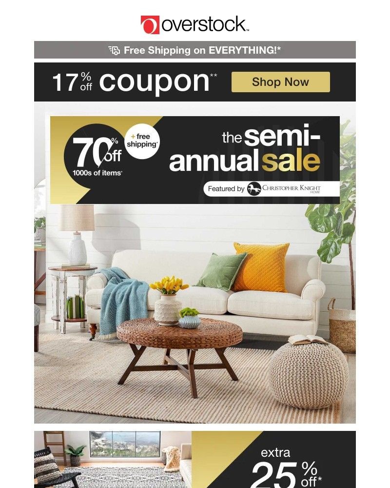 Screenshot of email with subject /media/emails/bee-ready-17-off-coupon-is-sweeter-than-honey-shop-the-semi-annual-sale-now-0814d_TA0o1b7.jpg