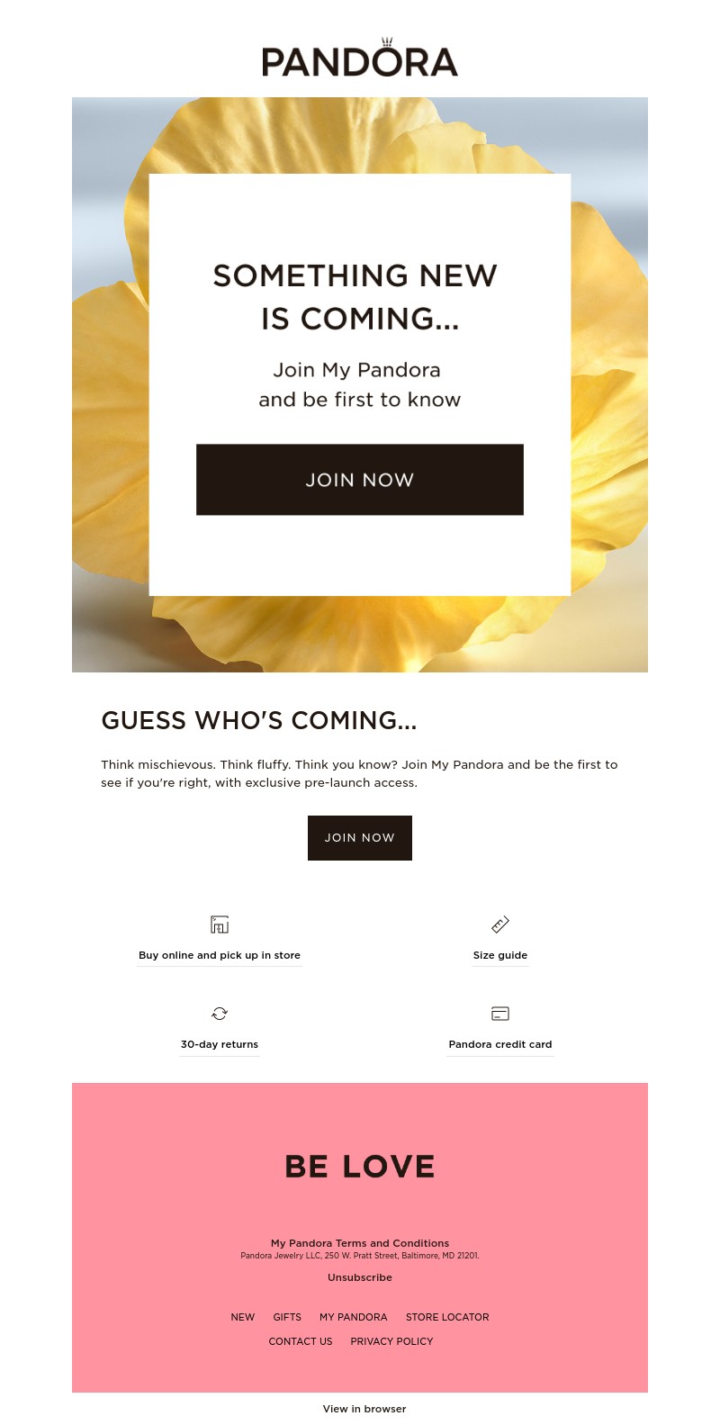 Screenshot of email with subject /media/emails/bef62a5f-89cb-436c-a264-767edff90ce9.jpg