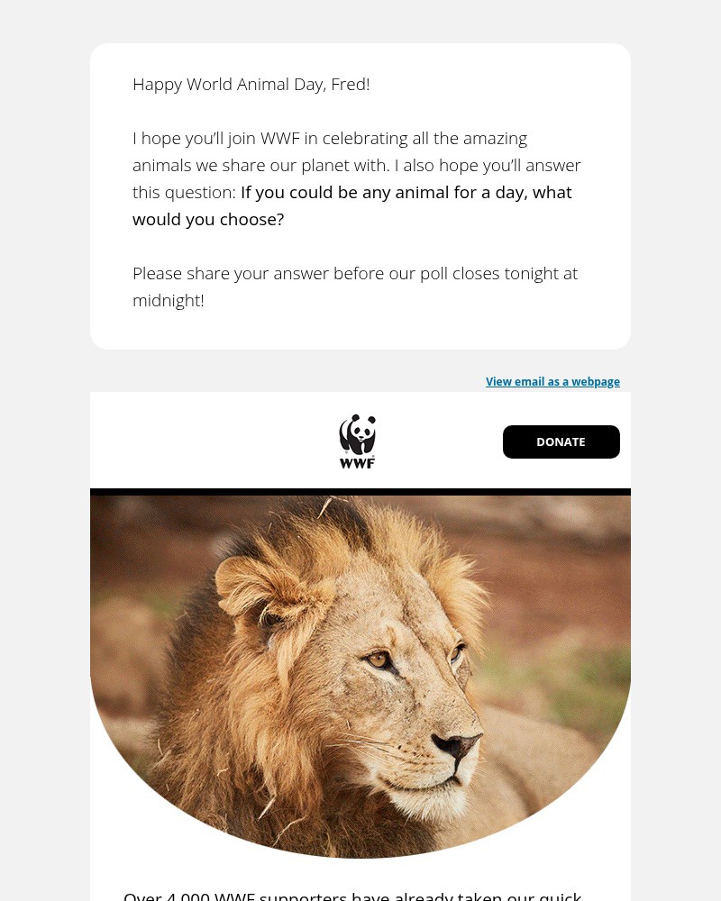 Screenshot of email with subject /media/emails/before-midnight-our-poll-closes-tonightwhich-animal-would-you-be-for-a-day-68c242_Z6NlQoC.jpg