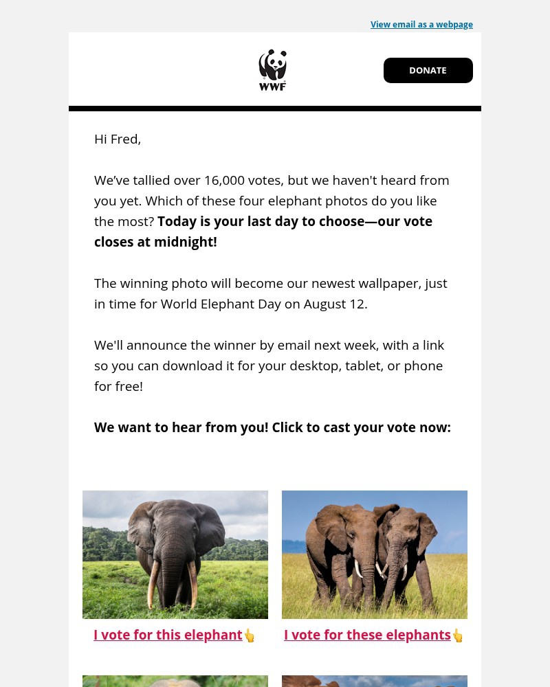 Screenshot of email sent to a World Wildlife Fund Newsletter subscriber