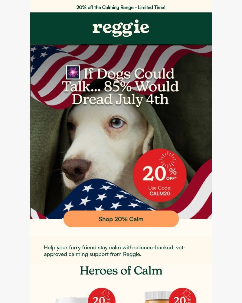 Screenshot of email sent to a reggie Newsletter subscriber