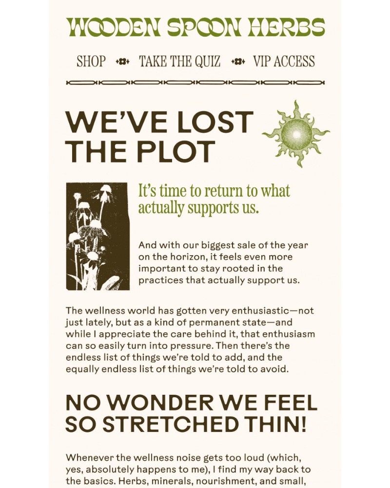 Screenshot of email sent to a Wooden Spoon Herbs Newsletter subscriber