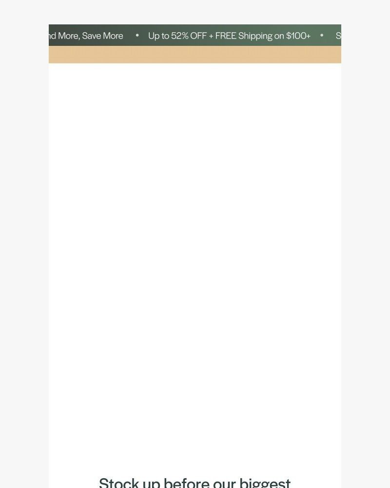 Screenshot of email with subject /media/emails/before-the-sale-disappears-25088e-cropped-7914c4c1.jpg