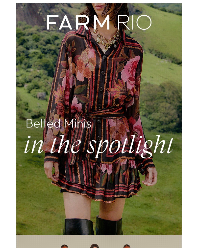 Screenshot of email with subject /media/emails/belted-minis-in-the-spotlight-a7763a-cropped-cfefbe7d.jpg