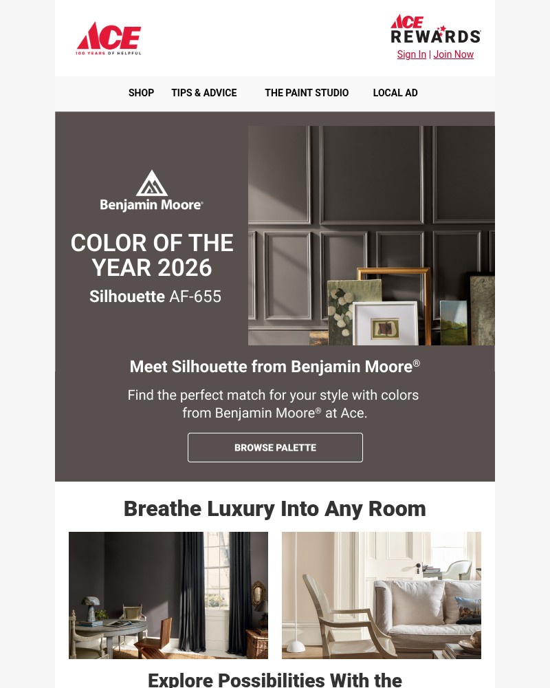 Screenshot of email with subject /media/emails/benjamin-moores-color-of-the-year-is-0c8304-cropped-8ab447da.jpg