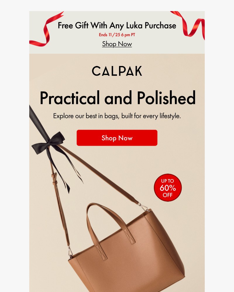 Screenshot of email with subject /media/emails/best-in-bags-up-to-60-off-f54432-cropped-bdf504aa.jpg