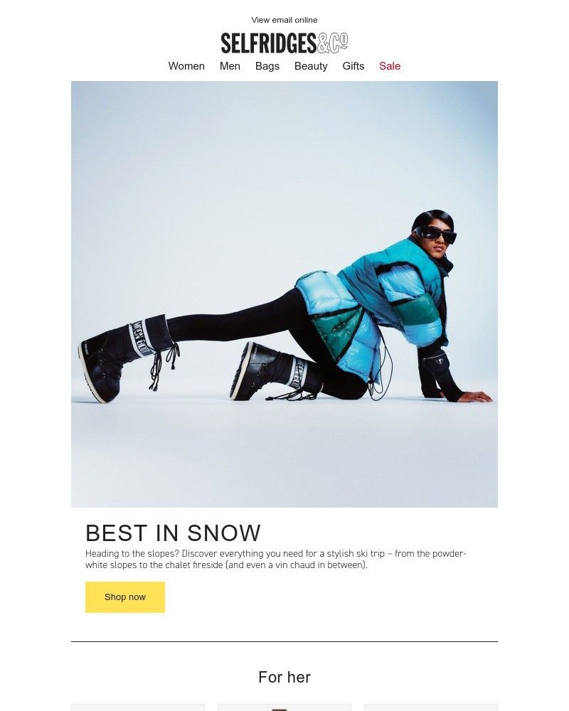 Screenshot of email with subject /media/emails/best-in-snow-711ee9-cropped-3236870c.jpg