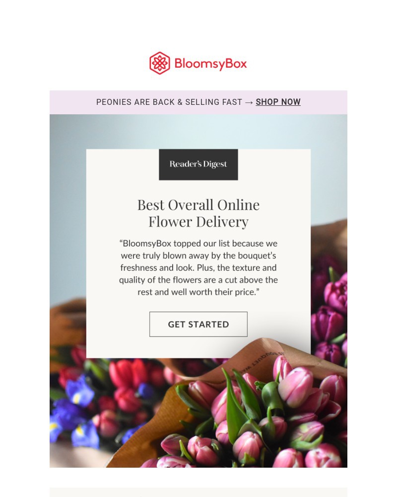 Screenshot of email with subject /media/emails/best-overall-online-flower-delivery-51b5e0-cropped-69ff55a1.jpg