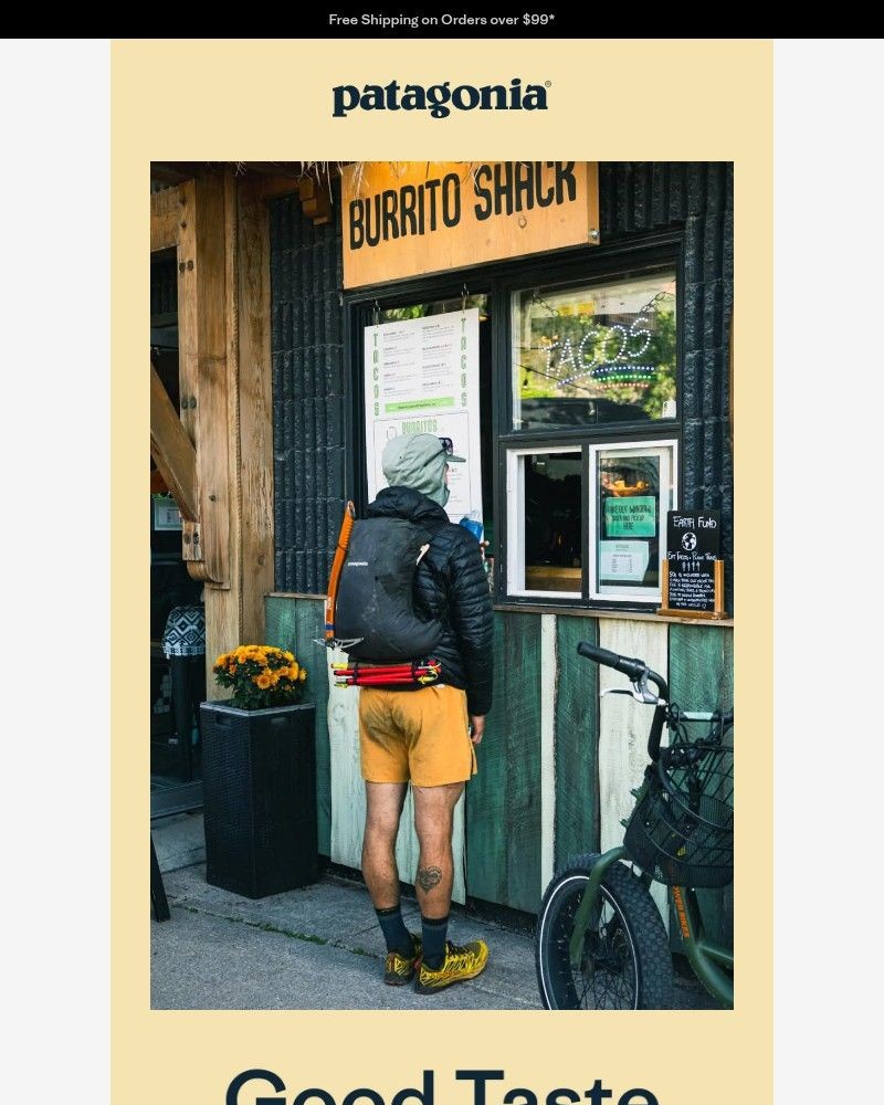 Screenshot of email sent to a Patagonia Newsletter subscriber
