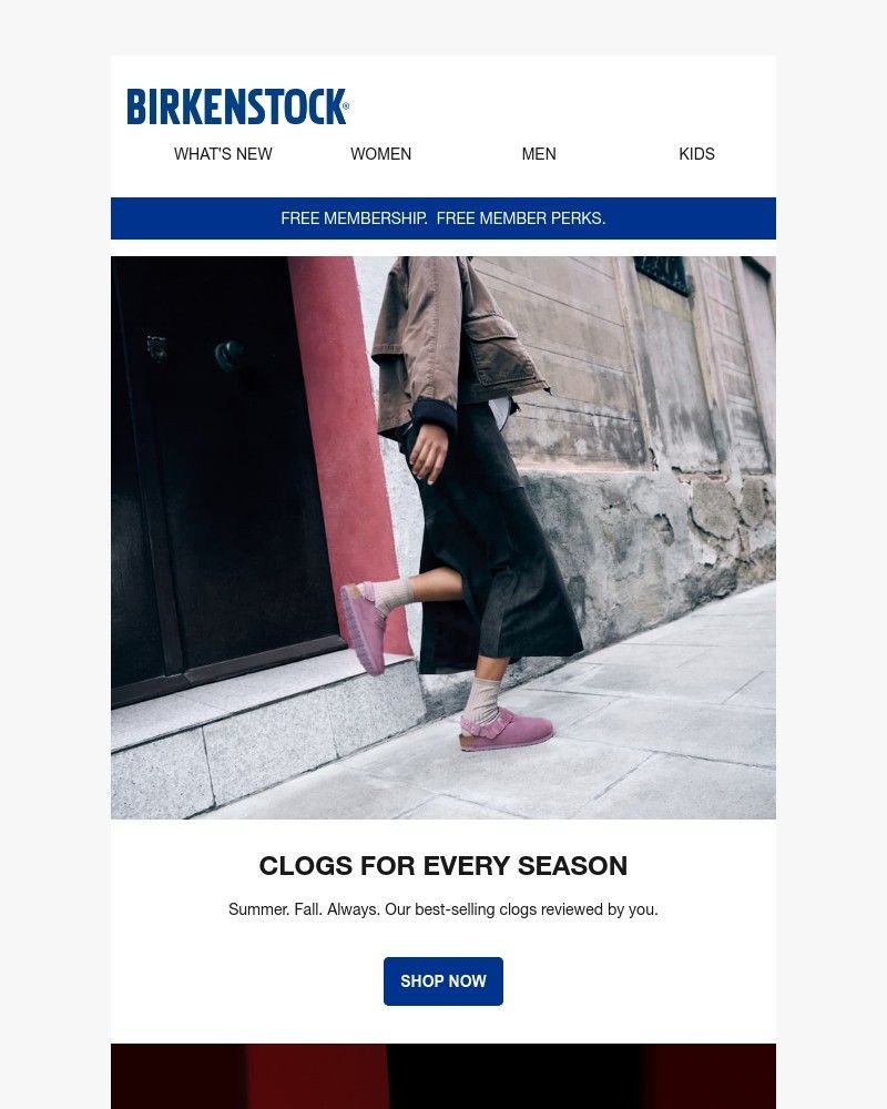 Screenshot of email with subject /media/emails/best-selling-clogs-backed-by-reviews-17c479-cropped-3f3efa0e.jpg