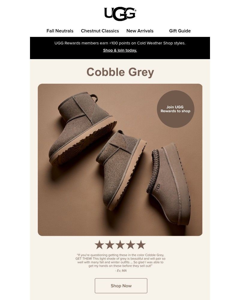 Screenshot of email with subject /media/emails/best-selling-color-cobble-grey-5db908-cropped-1ce4c368.jpg