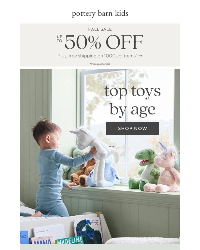 Screenshot of email with subject /media/emails/best-selling-toys-for-all-ages-1163da-cropped-23c7d961.jpg