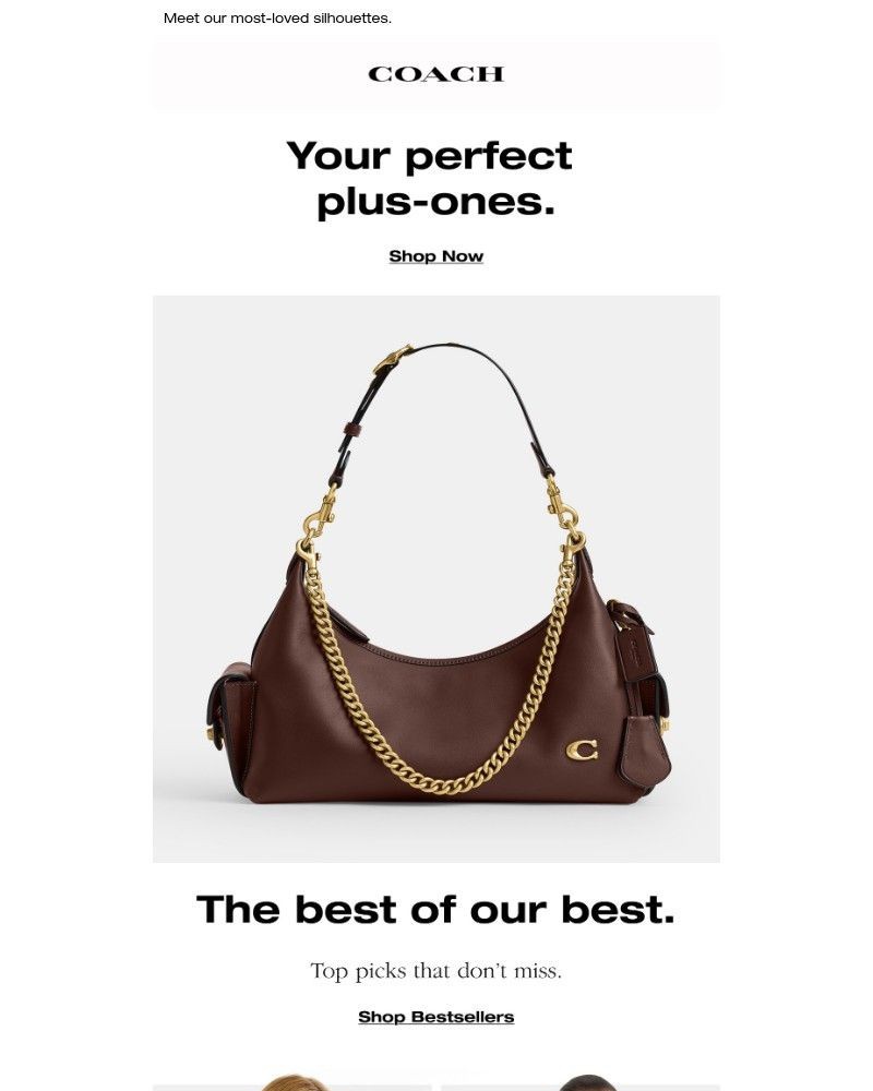 Screenshot of email with subject /media/emails/bestselling-bags-for-every-moment-9ceddc-cropped-c189cc32.jpg