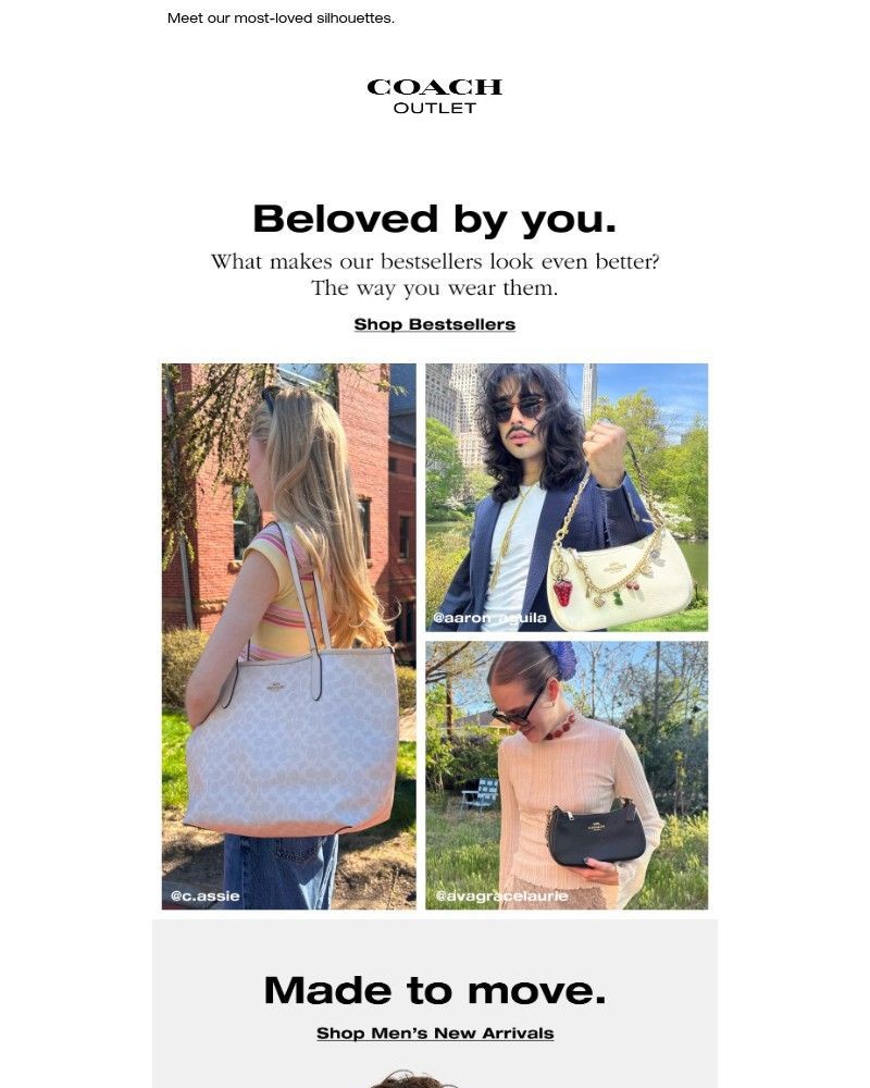 Screenshot of email with subject /media/emails/bestselling-bags-for-every-moment-b5c6f0-cropped-7e7c8aaf.jpg